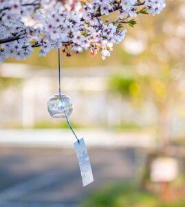 Lire la suite à propos de l’article ACT Thérapie Valeurs : Cessez la Lutte pour une Vie Engagée