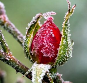 Lire la suite à propos de l’article ✨ Focus sur l&rsquo;Outil n°2 : Élaborez votre Récit de Vie pour retrouver Sens à votre Vie et Cohérence Psychique.